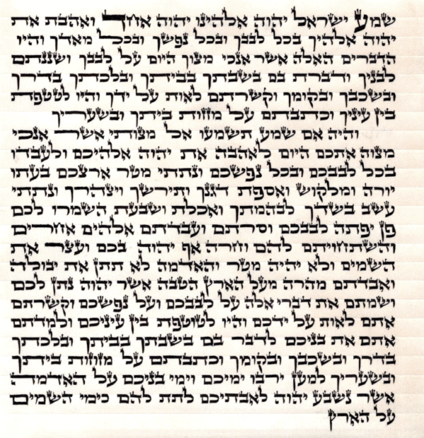R' Mordechai Shapiro