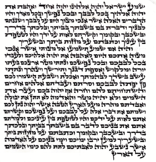 R' Avraham Levin