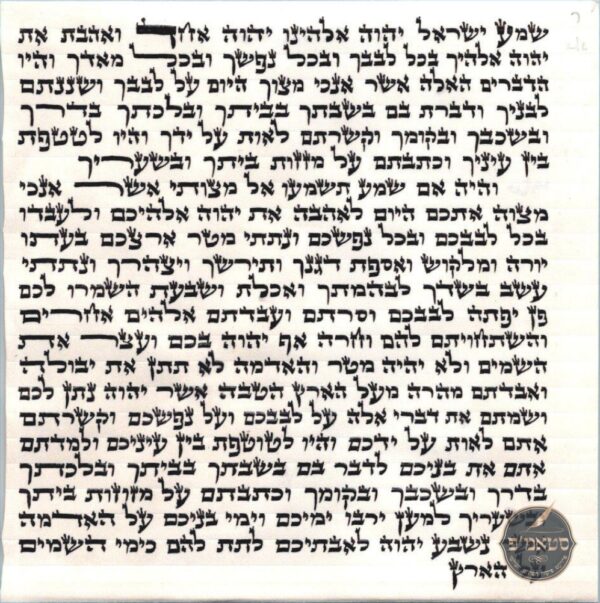 R' Shmeyah Rein - 12 CM